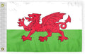 AGAS Wales Nautical Flag 12x18 inch Mini Welsh National Flag Outdoor 200D Nylon Double Stitched Hem