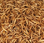 Bulk Dried Mealworms 5Lb Bag -Premium Non-GMO Dried Mealworms for Chicken, Nutritious High Protein - 100% Natural Mealworms for Laying Hens, Birds, Ducks, Chicken Feed