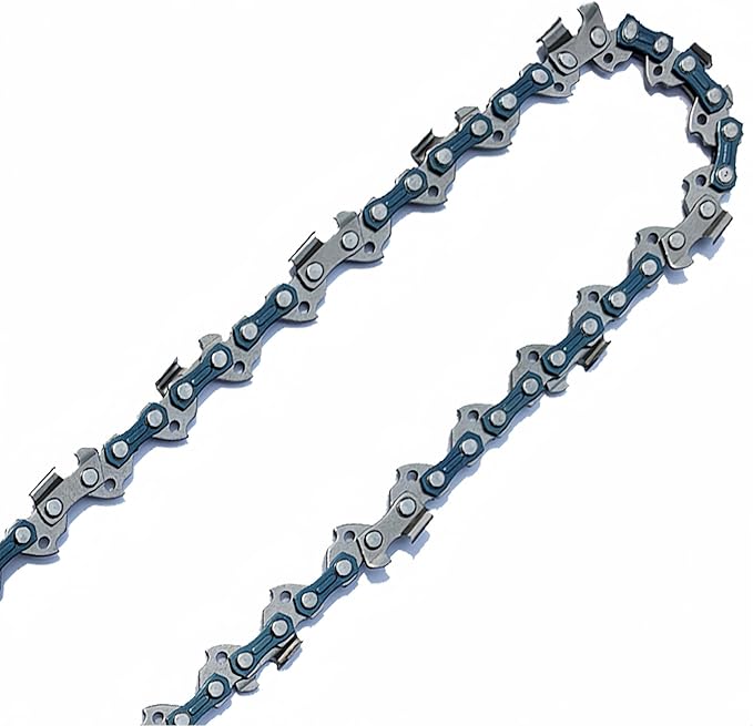 2PC 10 Inch Chainsaw Chains for Worx WG322 WG322.9 WG323 WG323.9 Chainsaw, Replacement for EGO PSA1000 PSA1020 MPS1000 MPS1001 PPSX2504 10-Inch 56V Polesaw - 3/8"LP .043" 40DL