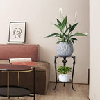 MDLUU Plant Stand 18.8 Inches Tall, Cast Iron Potted Plant Stand, 2-Tier Metal Planter Stand, Flower Pot Stand for Living Room, Bedroom, Kitchen Decor (Black)