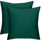 RSH DECOR: Square Throw Pillows Set of 2 | 20” x 20” | All-Weather Spun Fabric | Water and Fade-Resistant | Outdoor Accent Pillows for Patio Furniture | Peacock