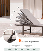 Chaise Lounge Chair Outdoor, Aluminum Patio Chairs with 5 Adjustable Backrest and Headrest Pillows for Outside Beach, Gray