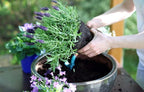 Gardenera Premium Moisture Control Potting Mix - Get The Perfect Balance of Moisture and Nutrients for Your Plants! - 1 Quart