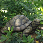 Garden Turtle Statue Decoration, Large Realistic Tortoise Figurine, Outdoor Lawn Ornament Garden Outdoor Courtyard, Lawn Landscape, Swimming Pool Decoration, Festival and Birthday Gifts