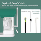 Bird Feeder with Camera, 2-in-1 Bird Bath and Perch, 3K Live View, Squirrel-Proof Cable, 2.4G WiFi, AI Detection, Instant Arrival Alerts, Backyard Birdwatching Gift for Birdlovers