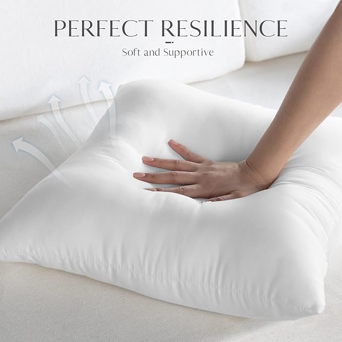 Ashler 16 x 16 Outdoor Pillow Inserts, Set of 2 Water Resistant Throw Pillow Inserts Hypoallergenic Stuffer Sham Square Pillow Insert for Patio, Bench, Garden, Indoor Outdoor Decorative