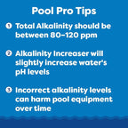 In The Swim Bromine Plus and Alkalinity Increaser - 25 Pounds of Bromine - 25 Pounds of Alkalinity Increaser