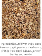 JCs Wildlife Bugs, Nuts and Berries Premium Bird Seed Small Cylinder with Hole, 1.5 lb (1 Cylinder)