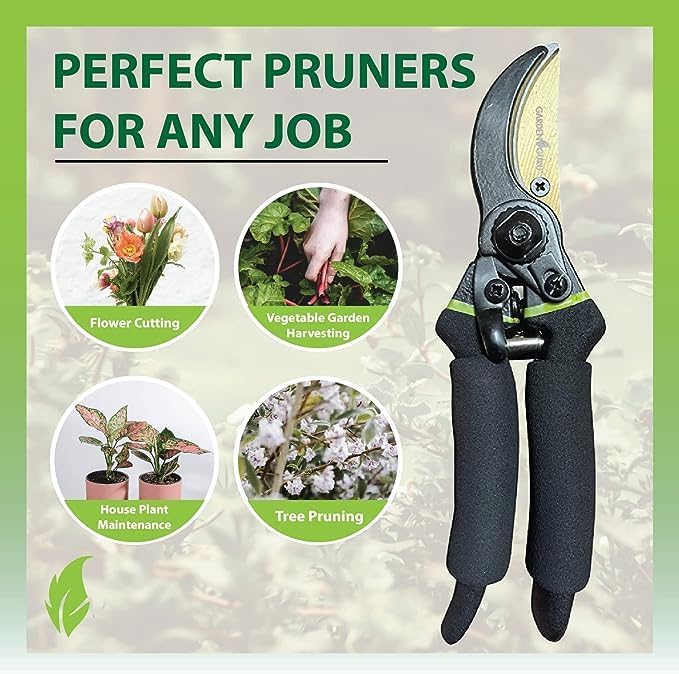 GARDEN GURU Soft Grip Garden Pruning Shears Scissors Clippers - Hardened Titanium Blades, Comfort Grips – Heavy Duty Bypass Hand Pruners Branch Cutters for Gardening Trimming Bushes - 1 Case (50 Pcs)