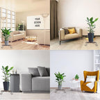Flower Pot Stand Heavy Duty 2 Pack Planter Holder Indoor Outdoor Home & Garden Decor(Champagne)
