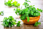 Premium Spearmint Plant Soil Mix by Gardenera - Stimulate Growth and Enhance Aroma with Nourishing Formula - 5 Quart