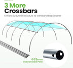 KING BIRD Premium 15x6.6x6.6FT Greenhouse for Outdoors, Large Walk-in Upgraded Galvanized Metal Frame, Mesh Door Screen Window Improved Zipper Tunnel Hoop for Garden Plant Winter, 2 Stiffeners, White