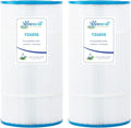 YZ685E. Swimming Pool Replacement Filter Replaces for Unicel C-8409 90Sq.ft FC-1292 PA90 Hayward CX900RE Darlly 80951 2Pack