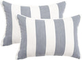 2 Pack Outdoor Throw Pillows 21x15 Inch Water-Resistant Decorative Pillow Cushions with Insert for Patio Garden Porch, Blue Stripe