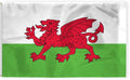 AGAS Wales Flag 6x10 ft 200D Nylon 6 Needle Lock Stitched Fly Hem Never Rust Brass Grommets Canvas Header Large Size Welsh National Flag