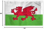 AGAS Wales Flag 4x6 ft 200D Nylon 4 Needle Lock Stitched Fly Hem Never Rust Brass Grommets Canvas Header Welsh National Flag