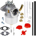 HUZTL 798917 Carburetor for Briggs and Stratton 794587 798918 695727 790558 791292 791953 594014 590907 Snow Blowers 1150 Series Carburetor