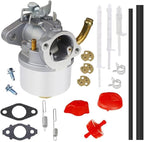 HUZTL 798917 Carburetor for Briggs and Stratton 794587 798918 695727 790558 791292 791953 594014 590907 Snow Blowers 1150 Series Carburetor