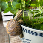 Banax Turtle Flower Pot Hanger, Resin Turtle Figurine, Cute Animal Hanging Resin Turtles Decor, Flower Pot Gift, Can Be Used As Garden Decoration Plant Decoration（Light Brown）