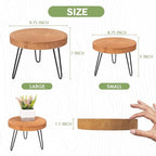 Athaliah Wood Plant Stand, Mini Mid Riser Stand Decor 2 Pack Wooden Plant Stool Indoor (Brown)