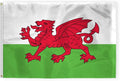 AGAS Wales Flag 4x6 ft 200D Nylon 4 Needle Lock Stitched Fly Hem Never Rust Brass Grommets Canvas Header Welsh National Flag
