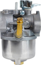 HUZTL 798917 Carburetor for Briggs and Stratton 794587 798918 695727 790558 791292 791953 594014 590907 Snow Blowers 1150 Series Carburetor