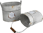 Vintage Galvanized Metal Planter Pots Set of 2, Rustic Farmhouse Flower Pots with Handles, "Potager A Paris 1903" Decorative Planters for Indoor Outdoor Gardening, Succulents, Herbs, Home Decor