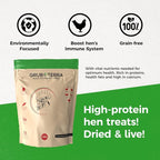 GrubTerra Golden Dried Black Soldier Fly Larvae - Premium Supplement to Increase Egg Production for Hen Treats, Bird Feed, Chicken Feeder, Pet Bird Food, and Wildbird Feed, Never from China! (1lb)