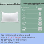 18x18 Inch Outdoor Throw Pillow Inserts, Pack of 2 - Premium Water-Resistant Decorative Pillows Stuffer for Patio Furniture,Sofas,Chairs &Porch Swing - White