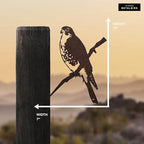 METALBIRD - Peregrine Falcon - Outdoor Tree Ornaments in Corten Steel - Metal Art Proudly Made in The USA