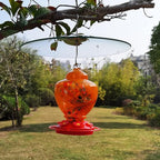 13" Glass Rain Cover for Bird Feeders Outdoors - Baffle on Shepherd Pole/Post or S Hooks Hanging - Large Weather Guard Protective Dome - Clear x 2PC (Dia. 33CM)