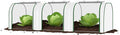 Mini Greenhouse with Roll-Up Zipper Door, Heavy Duty PE Cover, Sturdy Steel Frame, Portable Garden Plant Tent for Indoor Outdoor, Balcony, Patio, Seedlings, Fruits & Vegetables, 297x100x80Cm