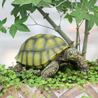 Realistic Turtle Statue - Turtle Sculpture Outdoor Garden Decoration Suitable for Ponds, courtyards, lawns, and Pools | A Unique Gift for Gardeners and Nature Enthusiasts