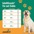 30FT Tie-Out Cables for Dogs - Strong, Safe, and Durable Dog Tie-Outs for Small Dogs up to 35 Pounds - Weather and Wear Resistant Galvanized Aircraft Cable for Outside Use
