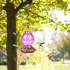 BOLITE Hummingbird Feeder, Glass Hummingbird Feeders for Outdoors Hanging, Five Feeding Ports, 20 Ounces, 2 Pack, Red and Purple, Birthday Gifts for Women Men, Gifts for Mom Dad