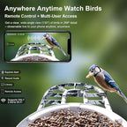 DCT Smart Bird Feeder with Camera: 1080P HD AI Identify 11K+ Species Weatherproof Squirrel Alert APP Control 2-Way Audio for Bird Lovers Garden/Backyard Outdoor Watching Gift