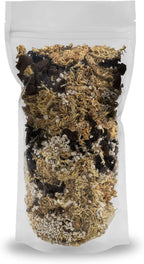 GARDENERA Premium Preserved Reindeer Moss for Potted Plants, Terrariums, Fairy Gardens, Arts and Crafts or Floral Decor Design in Natural (4 Quart Bag)