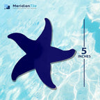Aquatic Custom Tile Starfish Porcelain Pool Mosaic Tile, Underwater Pool Mosaic Swimming Pool Tiles, Pool Mosaics for Bottom Of Swimming Pool, Decorative Tile for Pool, Made in USA