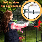 Ogrow® Mini Portable Greenhouse, with Cover and 4 Tier Shelves