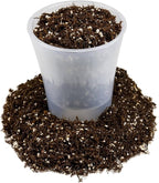 Gardenera Fern + Perlite Soil Mix for Repotting and Planting Succulents and Cactuses - 4 Quart Bag