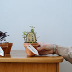 DOITOOL 2Pcs Miniature Fairy Garden Window,Artificial Window Ornament Miniature Fairy Doors Gnome Home Decoration,Resin Landscape Yard Art Garden Sculpture Fish Tank Decoration