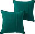 Greendale Home Fashions Sunbrella 20" Square Outdoor Throw Pillow with Removable Cover (Set of 2), Canvas Forest 2 Count