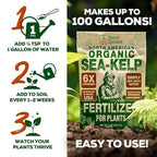 Organic Sea Kelp Fertilizer for Plants – Water-Soluble – Makes 200 Gallons – Kelp Meal Concentrate Plant Food – for Indoor Gardens, Hydroponics, Vegetables, Houseplants - Smart Grower - 8oz Bag