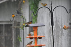 DutchCrafters Plastic Poly Double Platform Hanging Oriole Bird Feeder with Fruit Slice Holders & Nectar Cups, Jelly Bird Feeders for Outside - Amish Made in USA (Double, Black & Bright Orange)