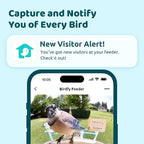 NETVUE by Birdfy Smart Bird Feeder with Camera, Bird Watching Camera, Auto Capture Video & Motion Detection, 1080P Live Steam, Cardinal Feeder Outdoor Wireless, Ideal Present for Backyard Birder, Blue