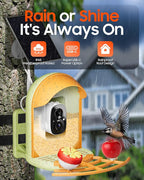 Camii Bird Feeder with Camera, Smart Birdfeeder with AI Identify Birds Species, 2K HD, Solar Powered, Night Vision, Real-Time Alert, IP66 Waterproof for Backyard Bird Watching Enthusiasts (Green)