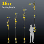 2-in-1 Cordless Pole Saw, 8 Inch Brushless Pole Chainsaws Compatibility with Dewalt 20V MAX Battery(No Battery), 8 lb Lightweight, Auto Oiling, 14.8 FT MAX Extension Pole Saws for Tree Trimming
