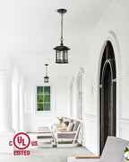 VIANIS Outdoor Pendant Lights for Porch, Black Exterior Hanging Lanterns Outdoor, Aluminum Farmhouse Ceiling Light Fixture, Waterproof Tempered Seed Glass Chandelier for Gazebo
