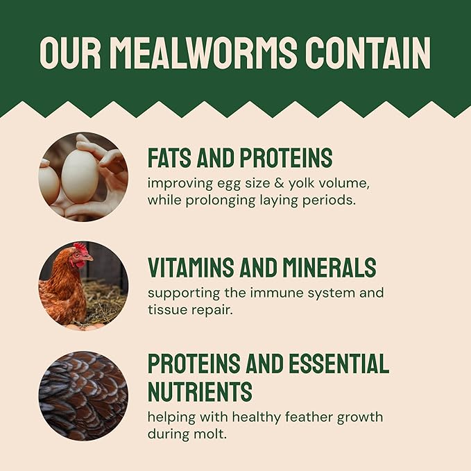 Hatortempt Chicken Feed Dried Mealworms - 5 Lb, Non-GMO & Organic - High-Protein Mealworms for Wild Birds & Ducks, Chicken Treats & Bird Food