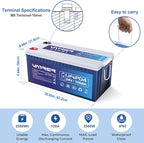 24V 100AH Bluetooth Low Temp Cutoff LiFePO4 Lithium Battery with 2560W, Built-in 100A BMS, 5000+ Cycles Rechargeable Deep Cycle Battery, for Camper, Solar Home and Off-Grid Applications
